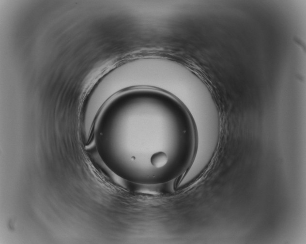 X0000099450293200805231748