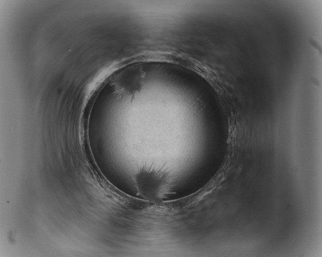 X0000099450294200805231748