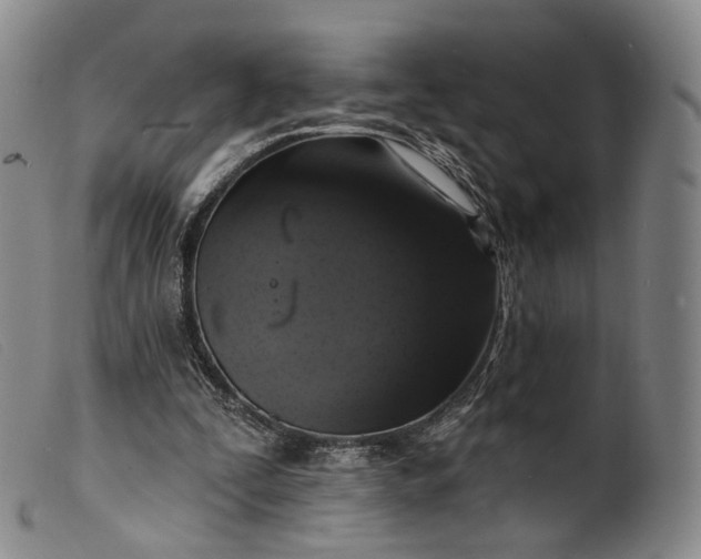 X0000099450295200805231748