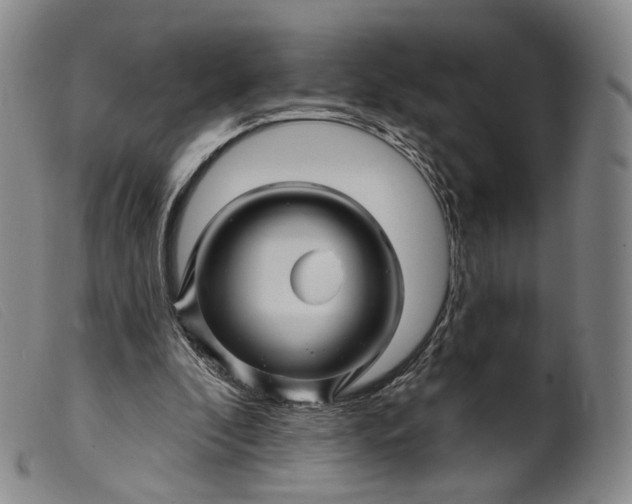 X0000099450296200805231748