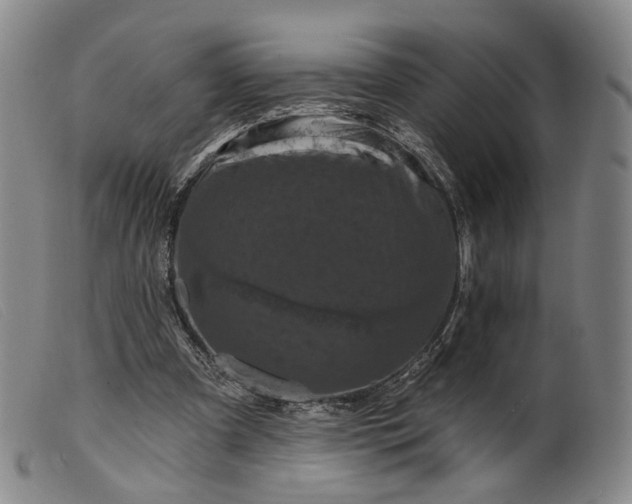 X0000099450297200805231748