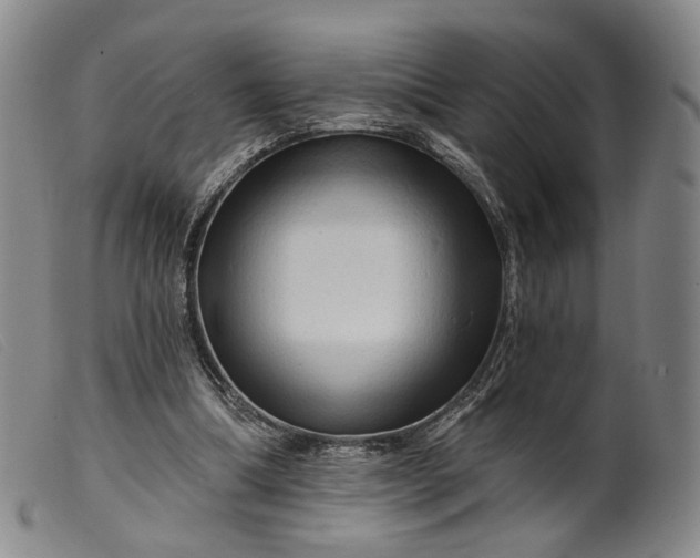 X0000099450298200805231748