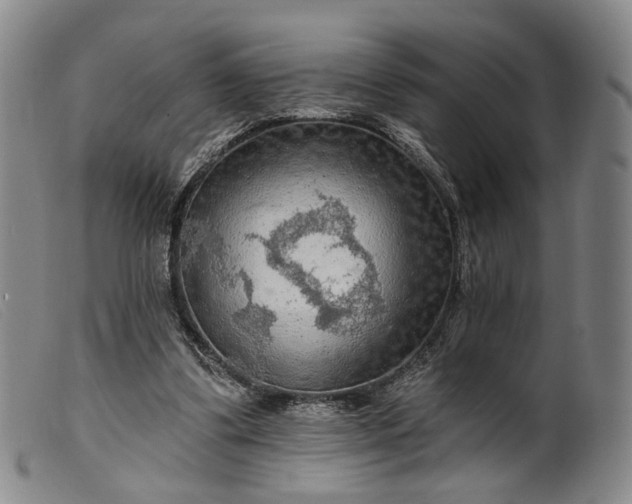 X0000099450299200805231748