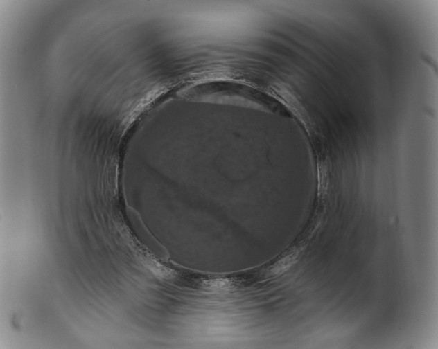 X0000099450301200805231748