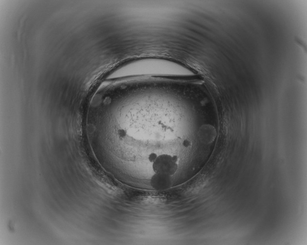 X0000099450303200805231748