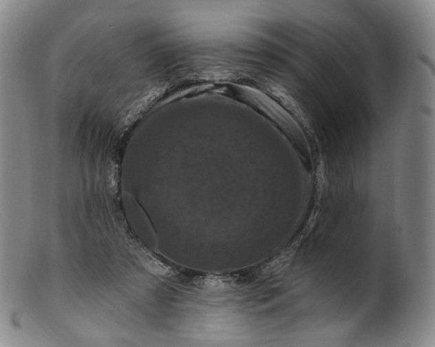 X0000099450305200805231748