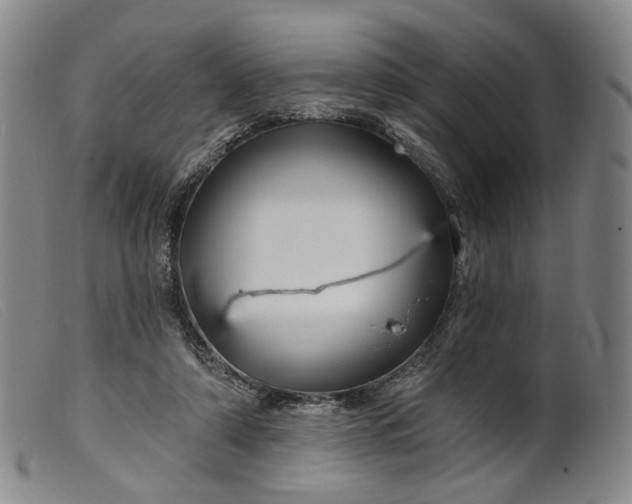 X0000099450306200805231748