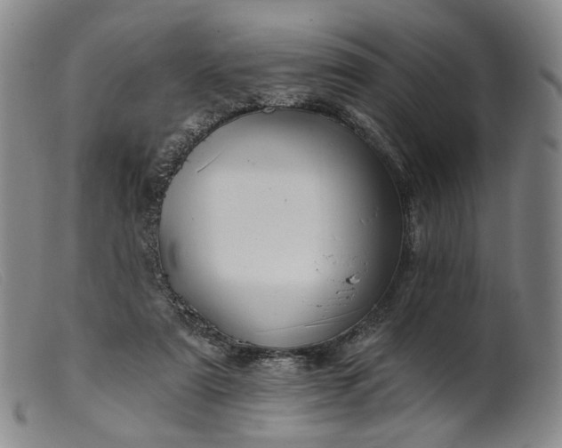 X0000099450307200805231748