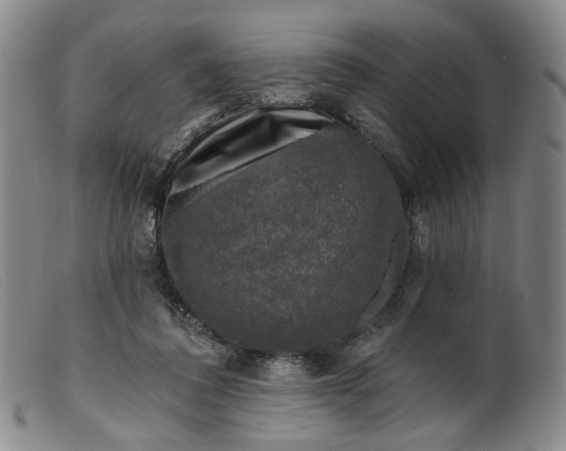 X0000099450308200805231748