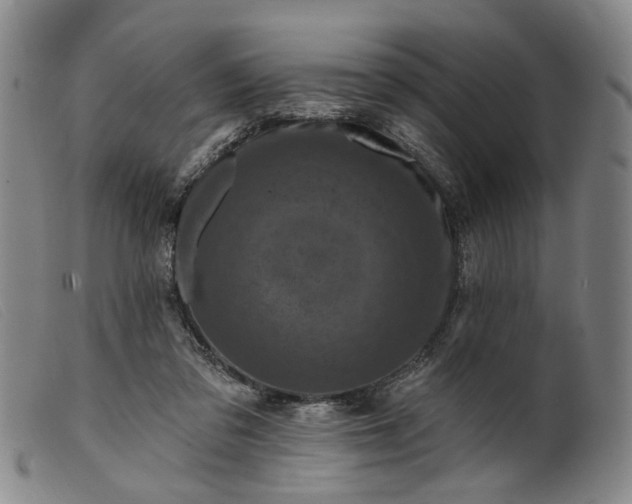 X0000099450309200805231748