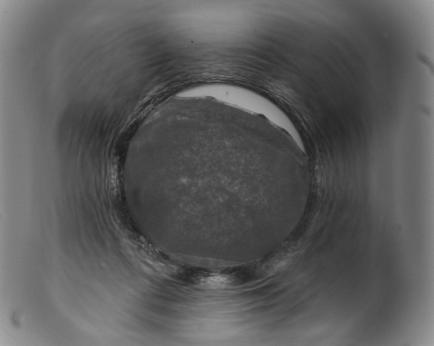 X0000099450312200805231748