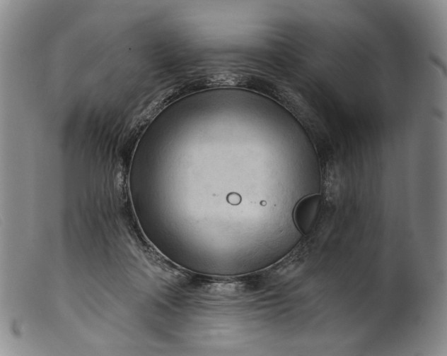 X0000099450314200805231748