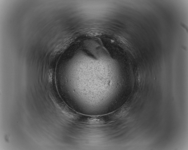 X0000099450315200805231748