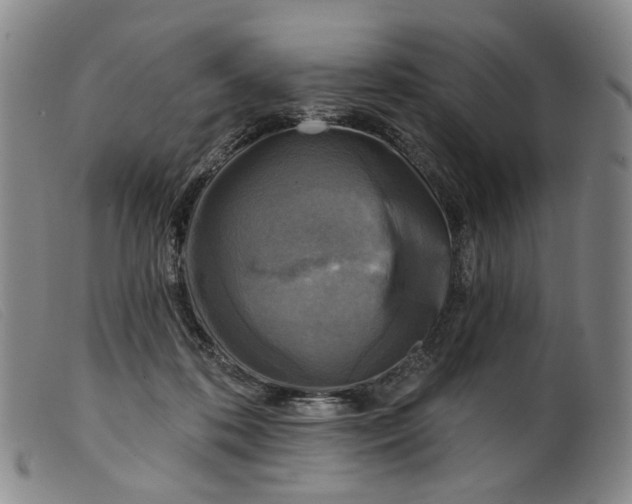 X0000099450316200805231748