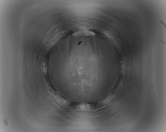 X0000099450317200805231748