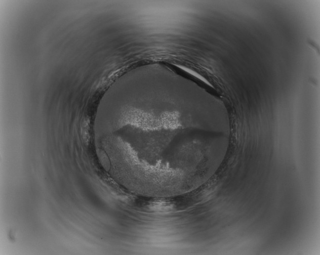 X0000099450319200805231748