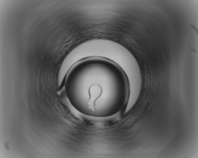 X0000099450320200805231748