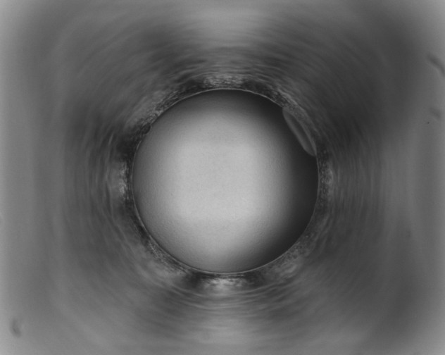 X0000099450323200805231748