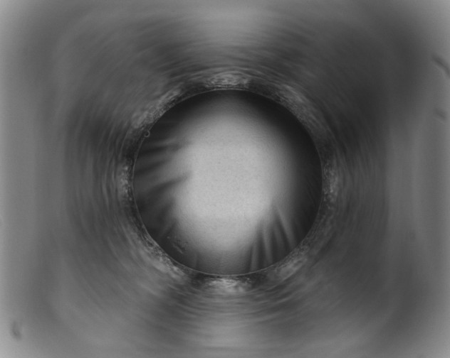 X0000099450326200805231747