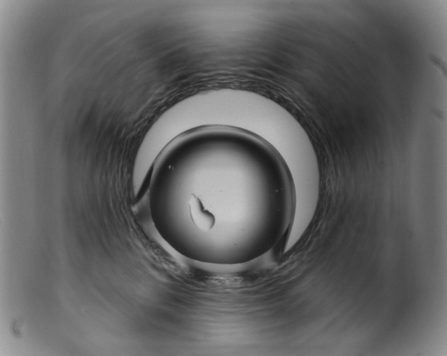 X0000099450328200805231747