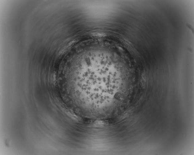 X0000099450330200805231747