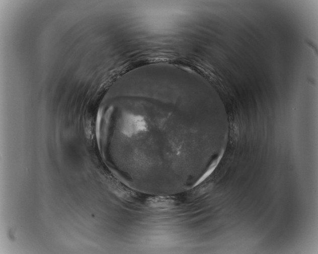 X0000099450331200805231747