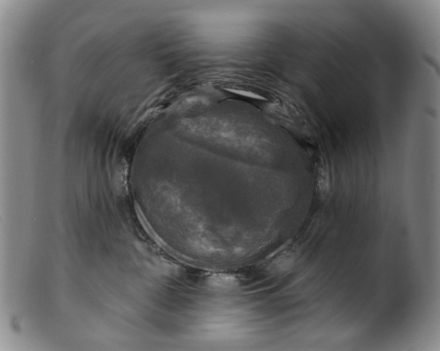 X0000099450332200805231747