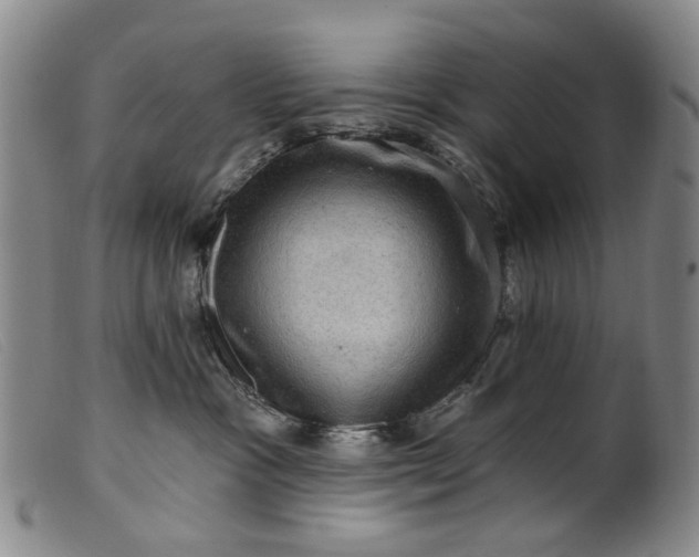 X0000099450333200805231747