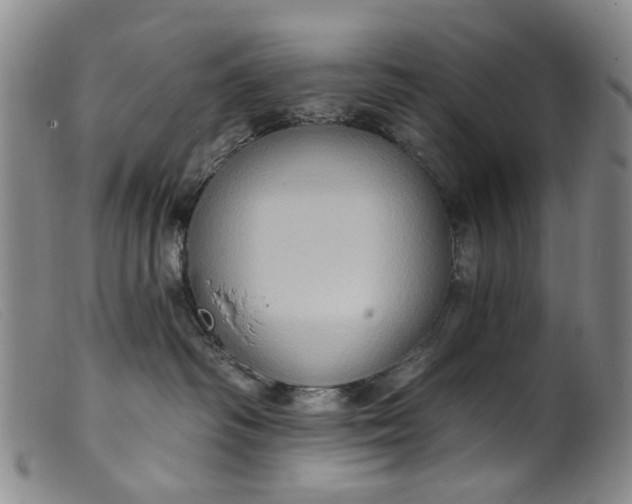 X0000099450334200805231747