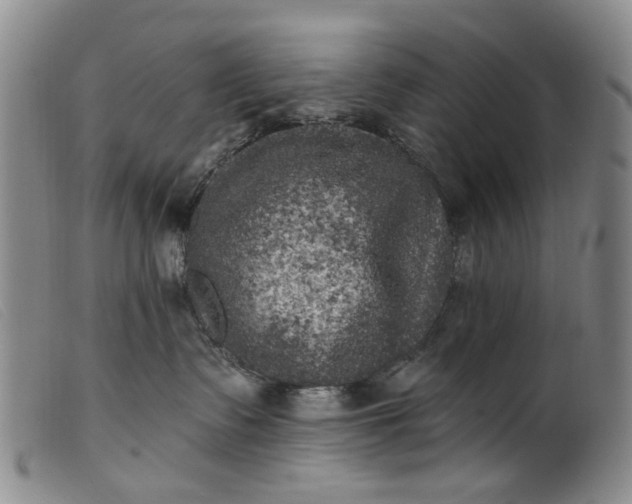 X0000099450335200805231747