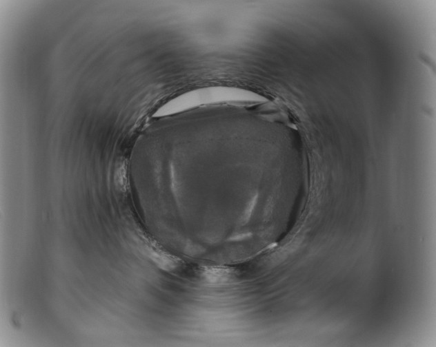 X0000099450336200805231747