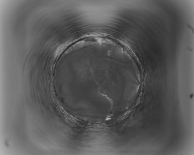 X0000099450337200805231747