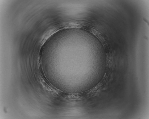 X0000099450338200805231747