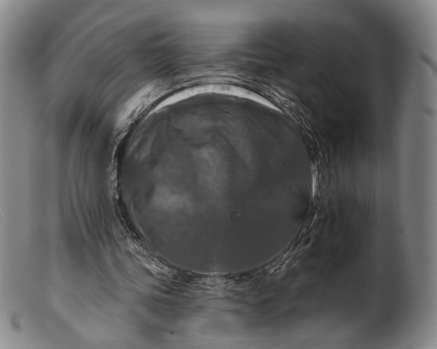 X0000099450339200805231747