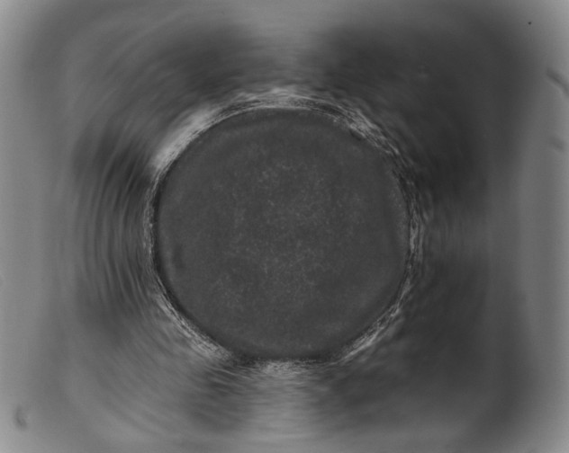 X0000099450341200805231747