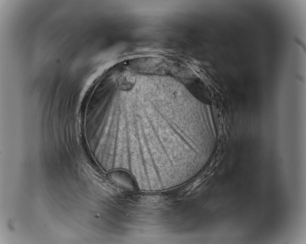 X0000099450342200805231747