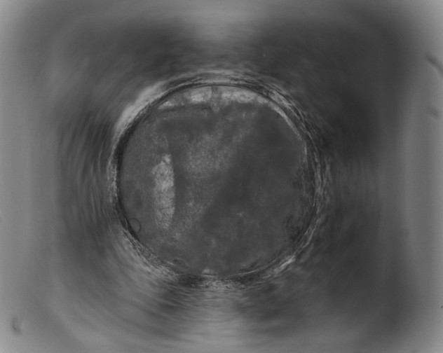 X0000099450343200805231747