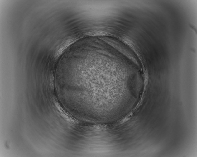 X0000099450345200805231747