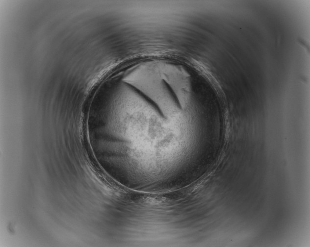 X0000099450346200805231747