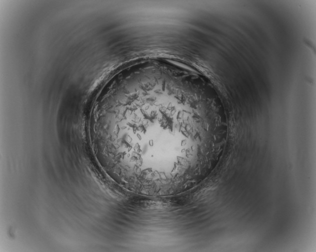 X0000099450347200805231747