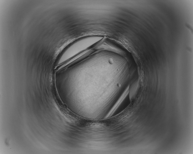 X0000099450348200805231747