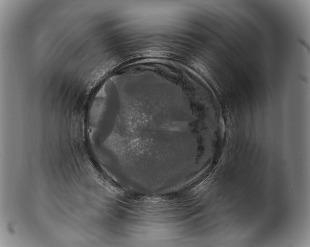 X0000099450349200805231747