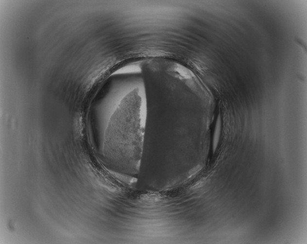 X0000099450351200805231747