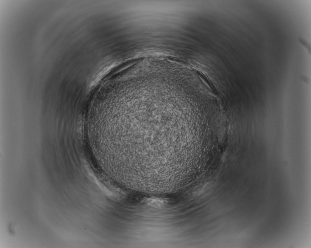 X0000099450352200805231747