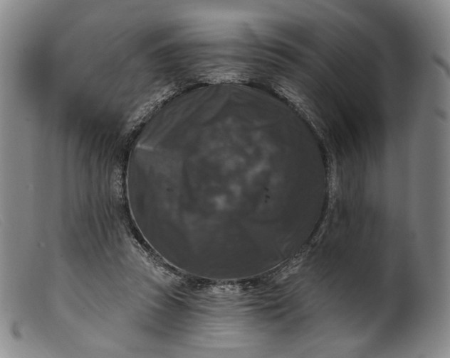 X0000099450353200805231747