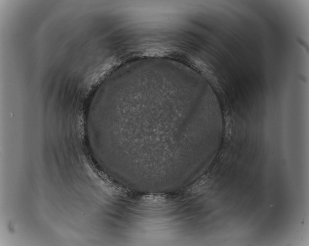 X0000099450354200805231747