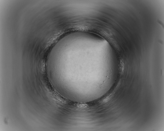 X0000099450355200805231747