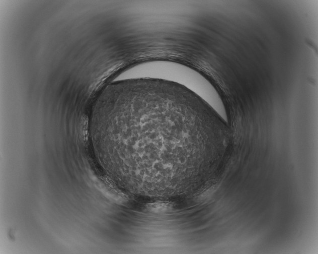 X0000099450356200805231747