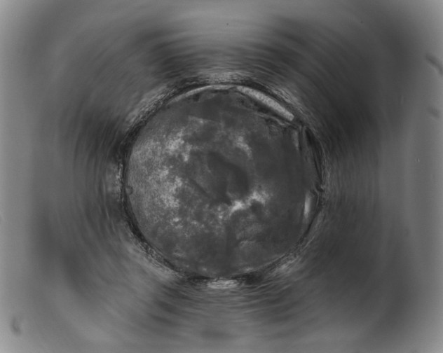 X0000099450357200805231747