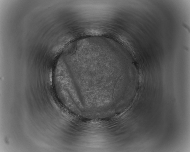 X0000099450358200805231747